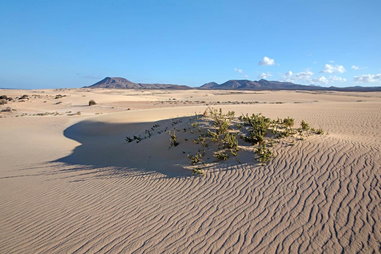 Willa Brisamar19 Corralejo